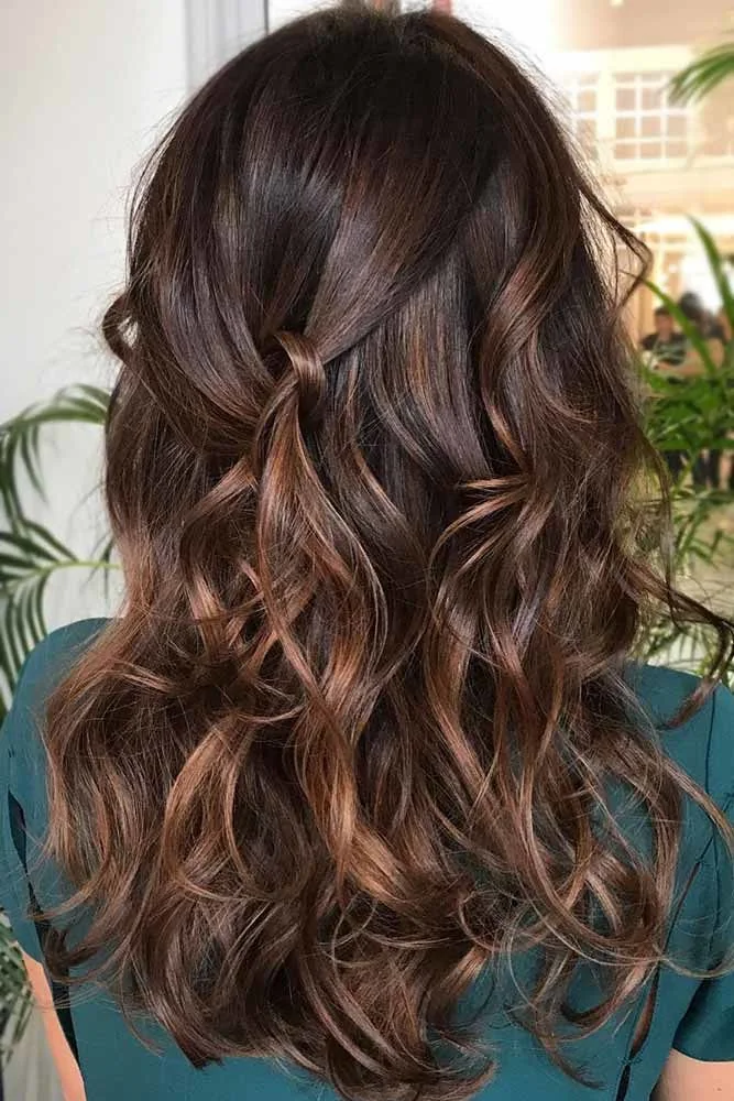 Back view of brown curled lengths with small warm highlight accents