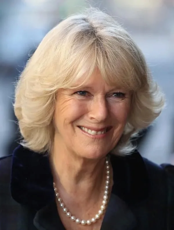 A shoulder-length gray shag with soft layers, face movement, and an easy undone finish. This hairstyle is shown as inspiration for women over 60 with thin hair.