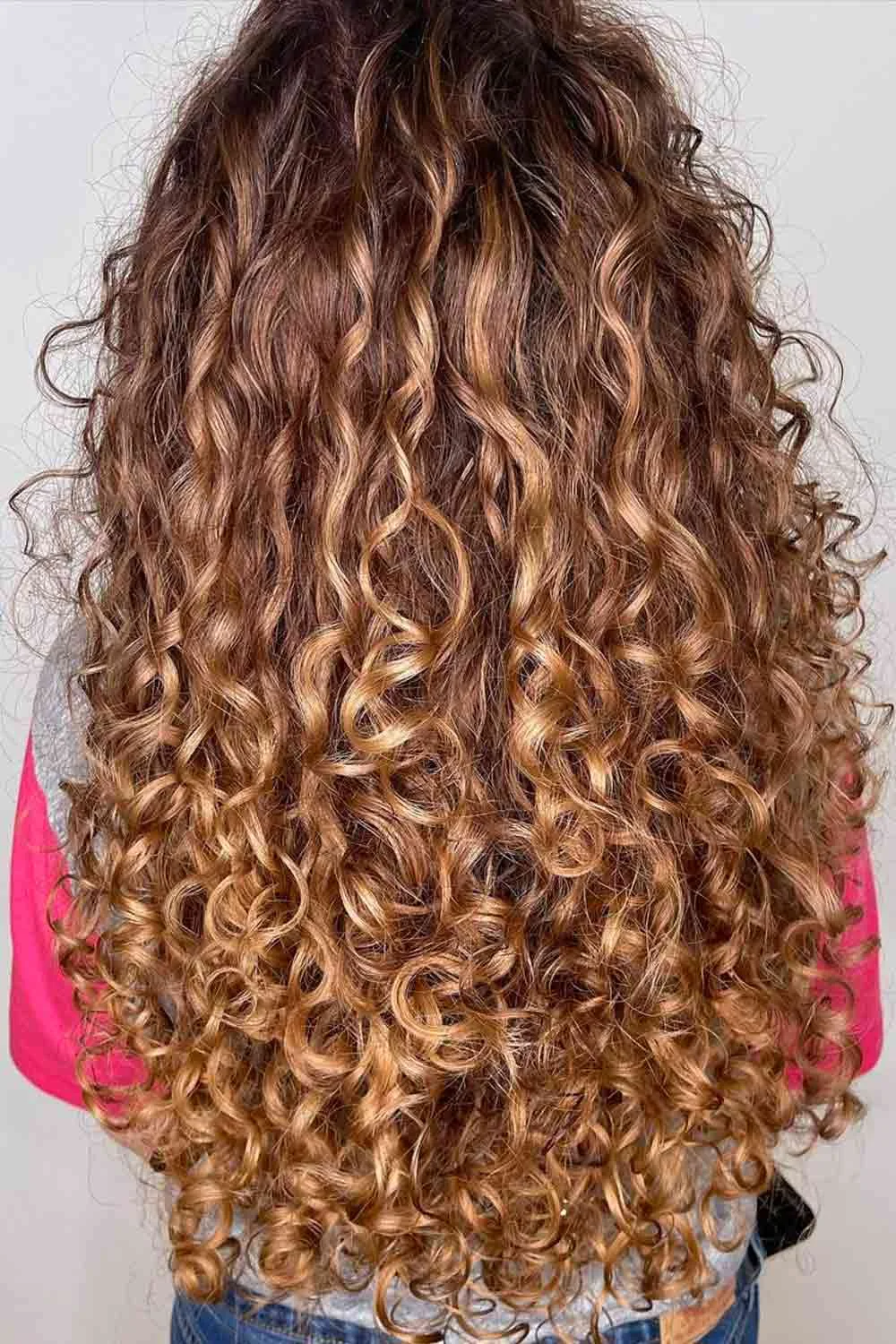 Back view of long brown curls with golden lighter ends