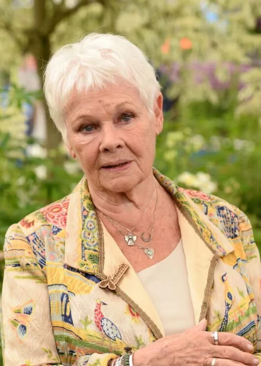 ear straight blonde pixie with micro fringe shown as a low maintenance hairstyles for 60 year old woman with fine hair idea