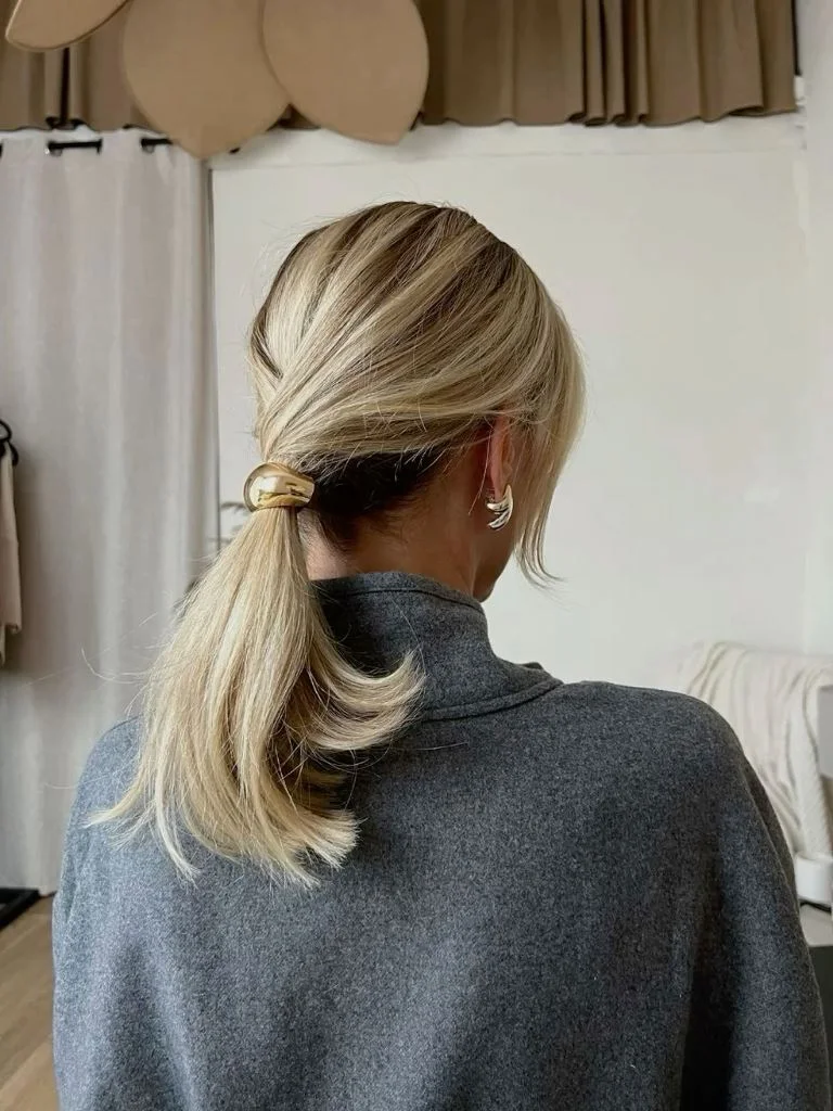 chest straight chestnut ponytail shown as a low ponytail hairstyles idea, featuring chest outline