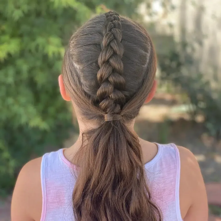 chest straight brunette french shown as a school hairstyles idea, featuring straight texture