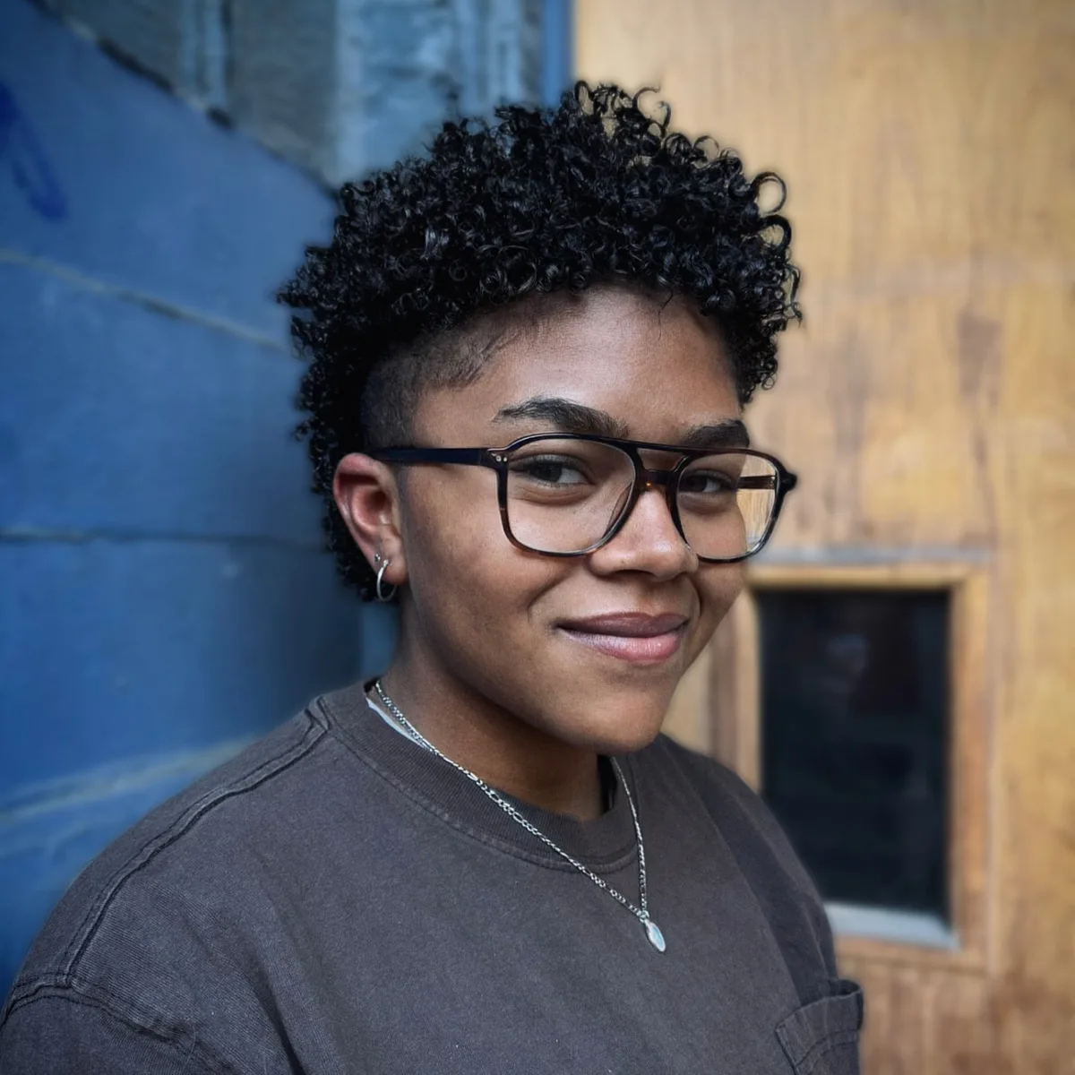 ear coily black curly style shown as a short natural hairstyles for black women over 50 idea, featuring volume through the all over, shown in black coily curly style with volume through the all over with volume through the all over