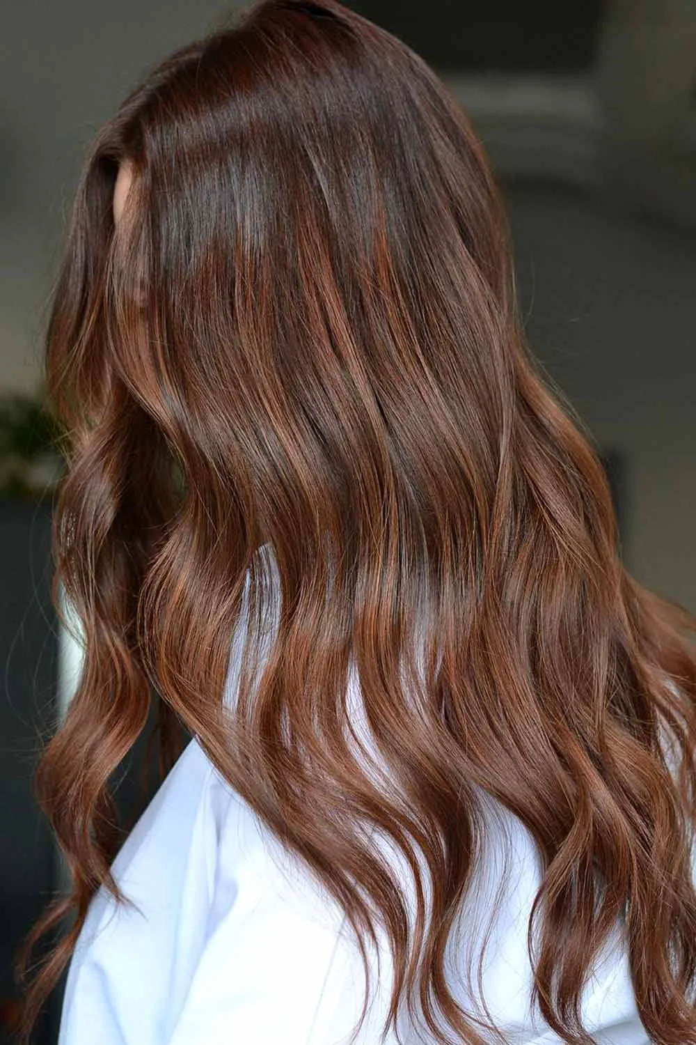Back-side view of long brown waves with soft chocolate and caramel ribbons through the lower hair
